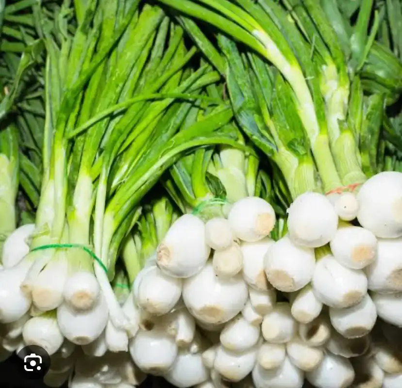 Cebolla cambray