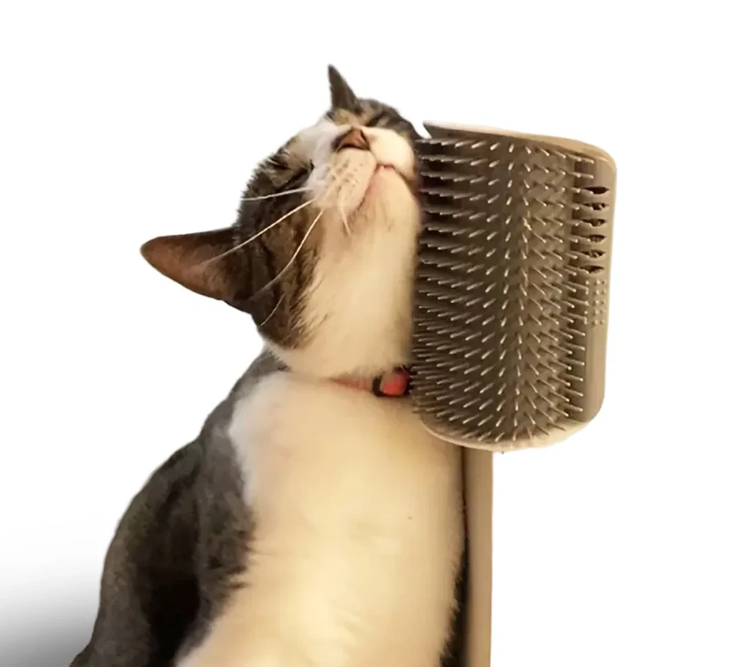 Cepillo Autolimpieza Gato 2