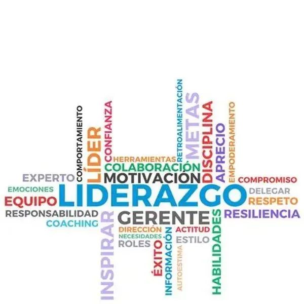 Liderazgo - exito