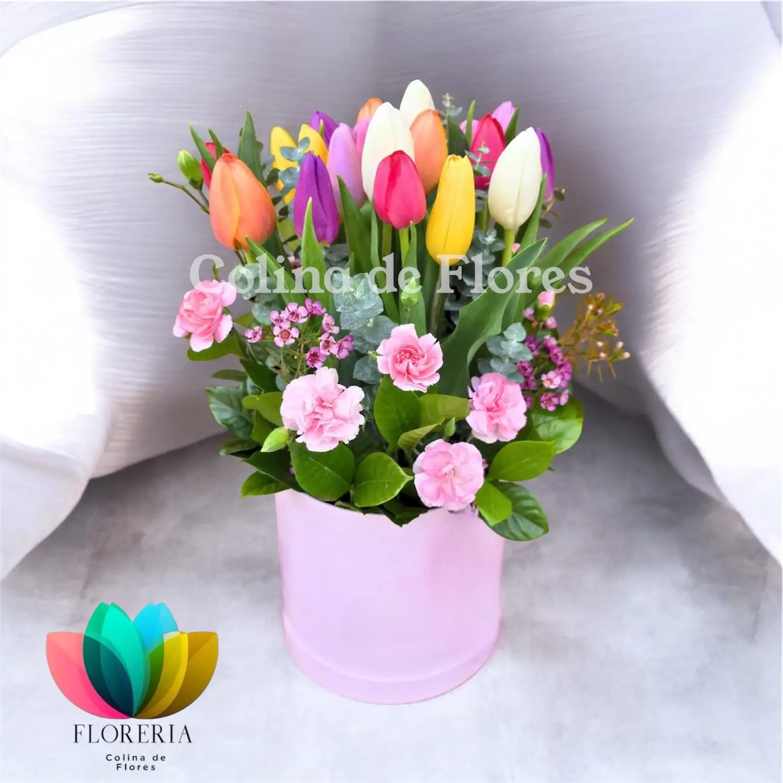 Mix Tulipanes 