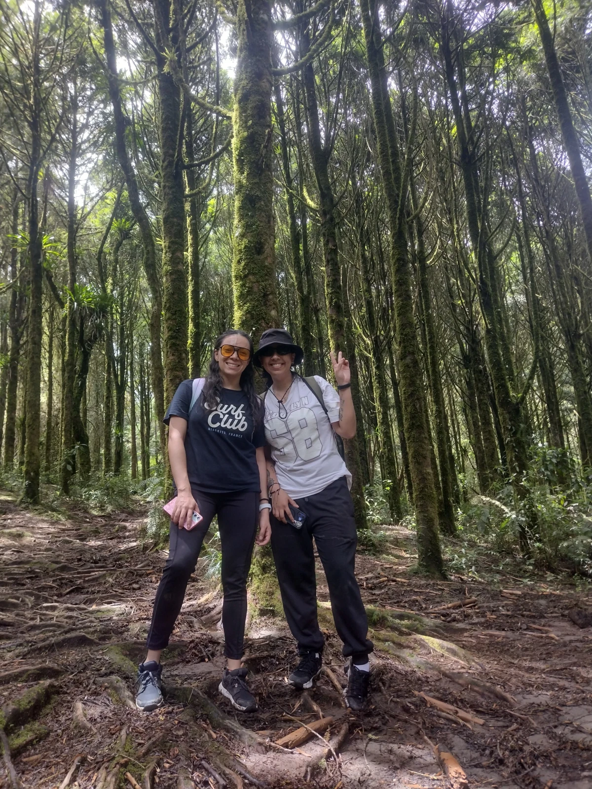 Mente Clara Montaña Viva 4