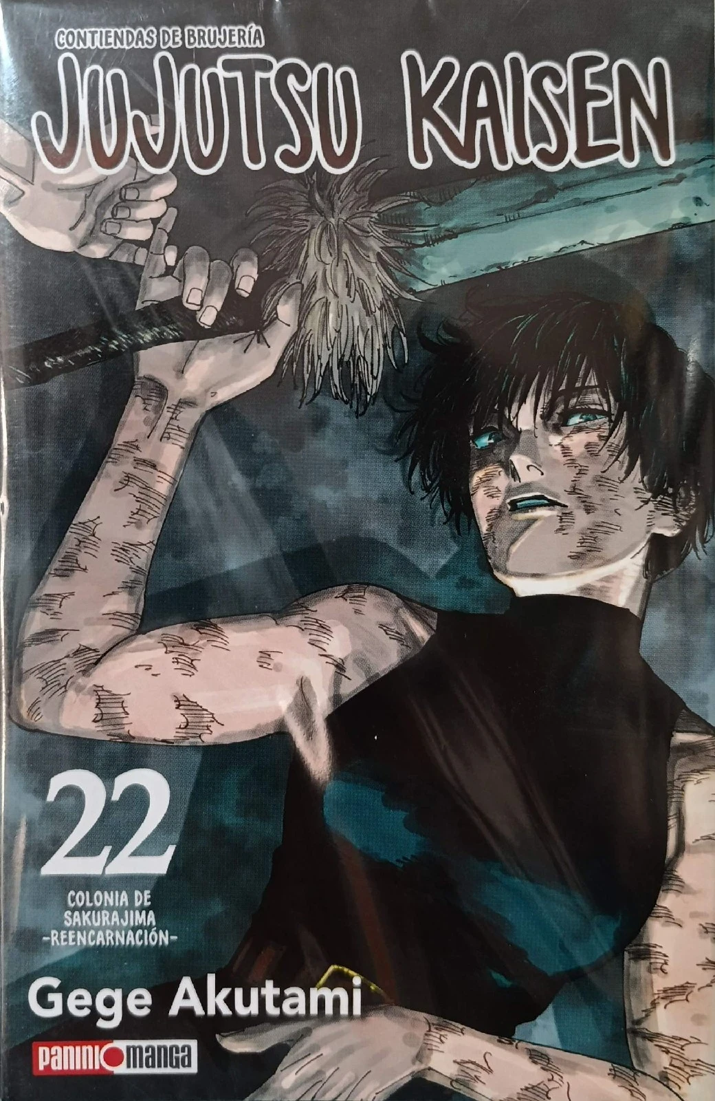 JUJUTSU KAISEN 22