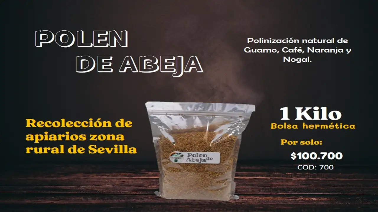 Polen puro 1 kilo