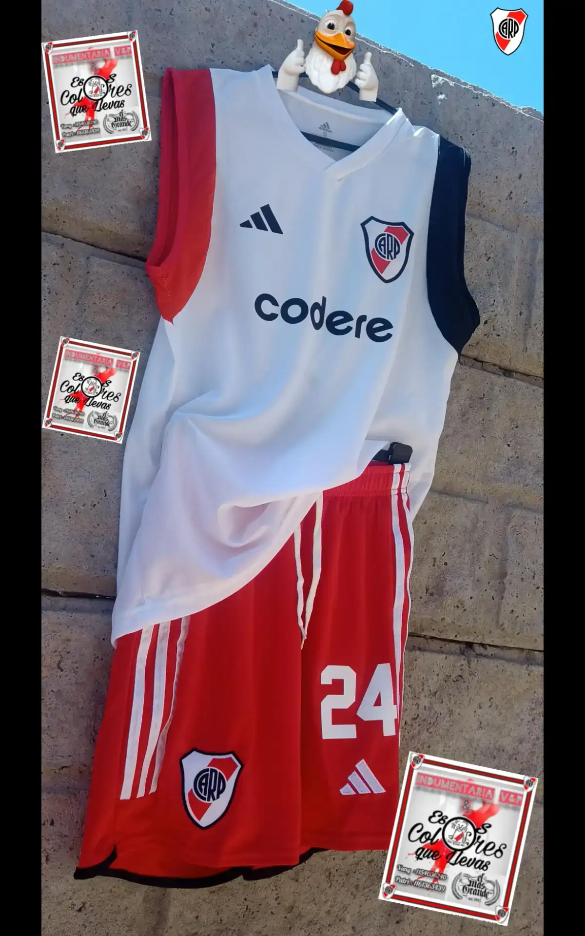 Conjunto Entrenamiento 2024 2