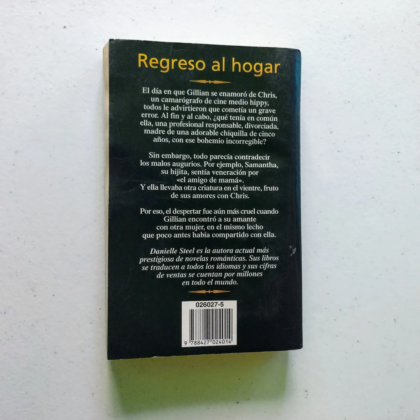 Regreso al hogar Daniell Steel, usado 2