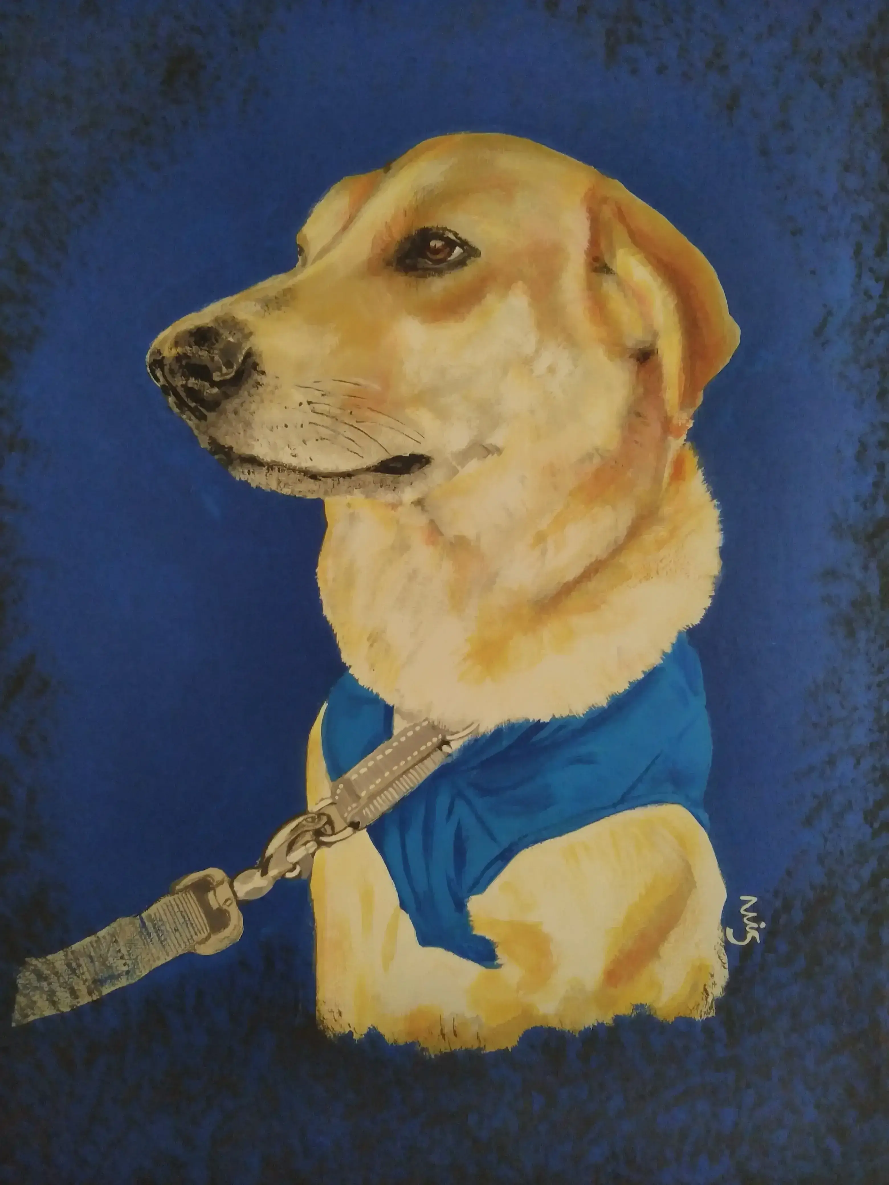 TU MASCOTA- envia foto y solicita presupuesto