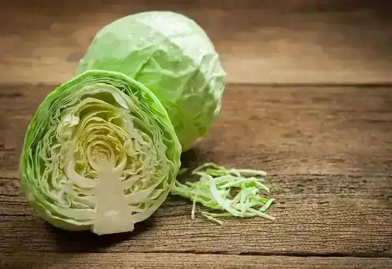 REPOLLO BLANCO MED 2