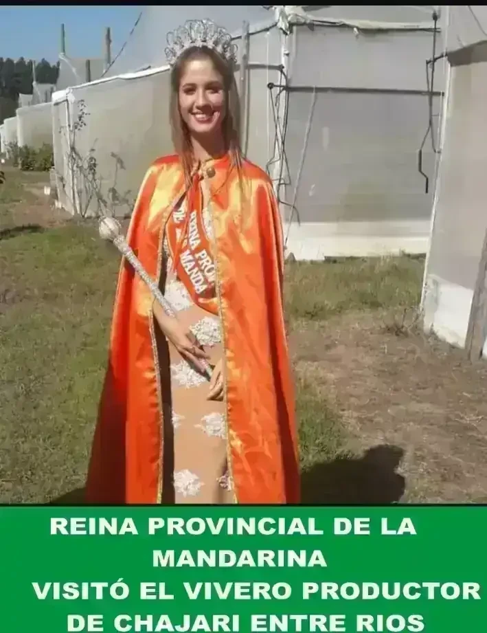 Lima Tahití Grande  4