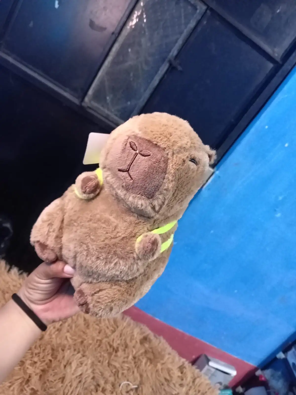 Peluche talla pequeña de capibara  3