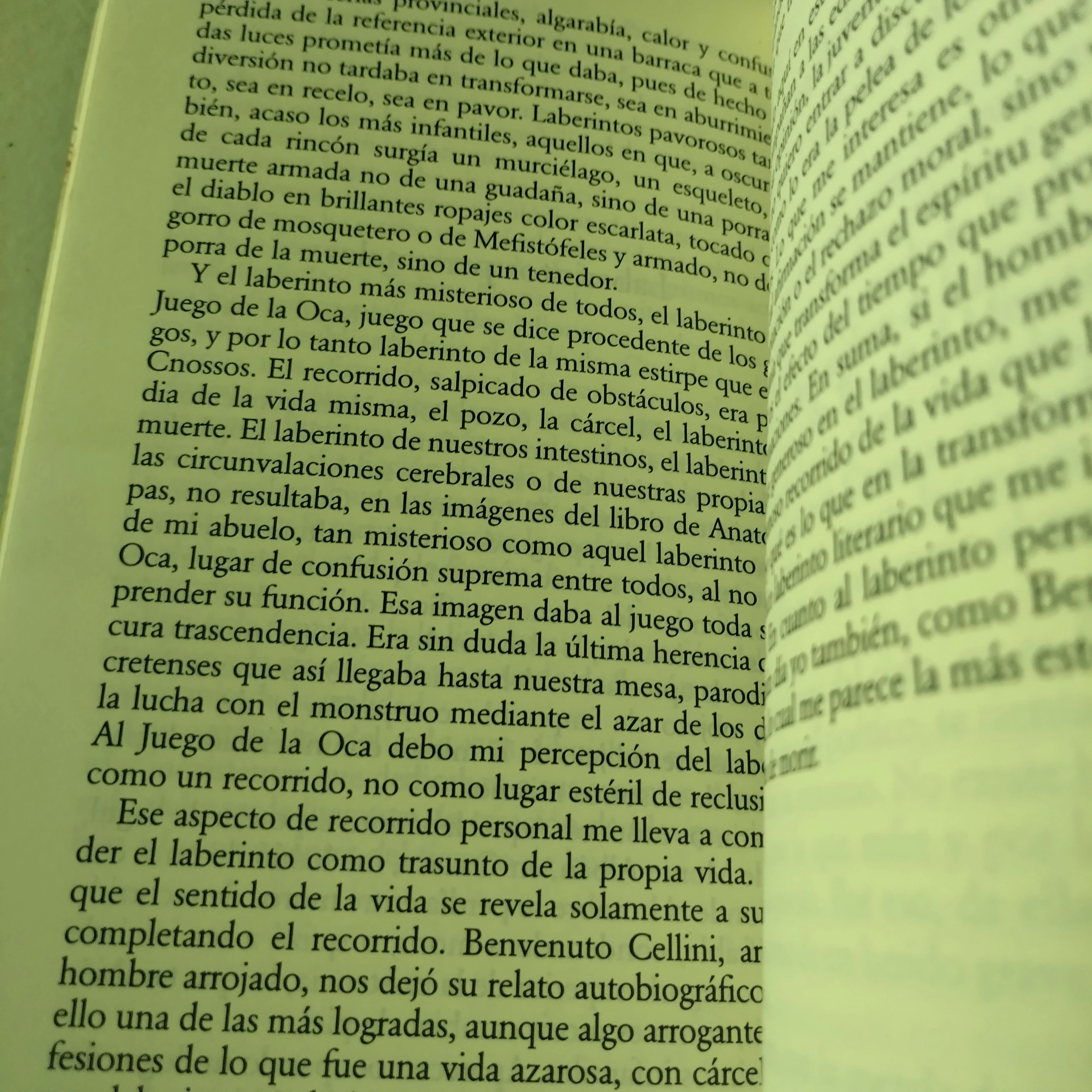 Literatura en el laberinto, Varios autores, usado  3