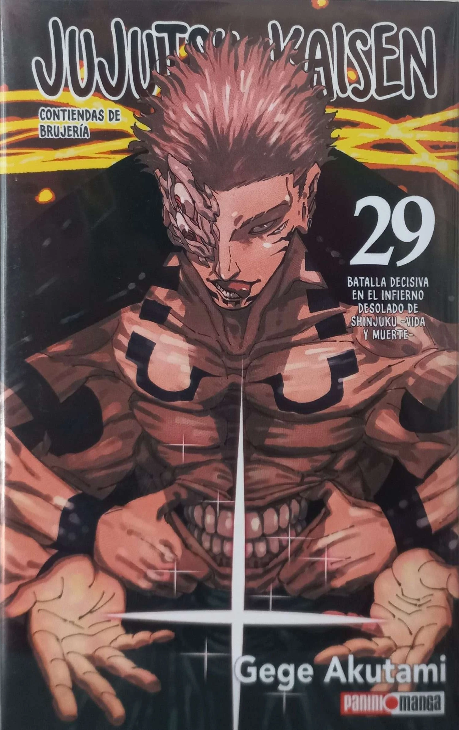 JUJUTSU KAISEN 29