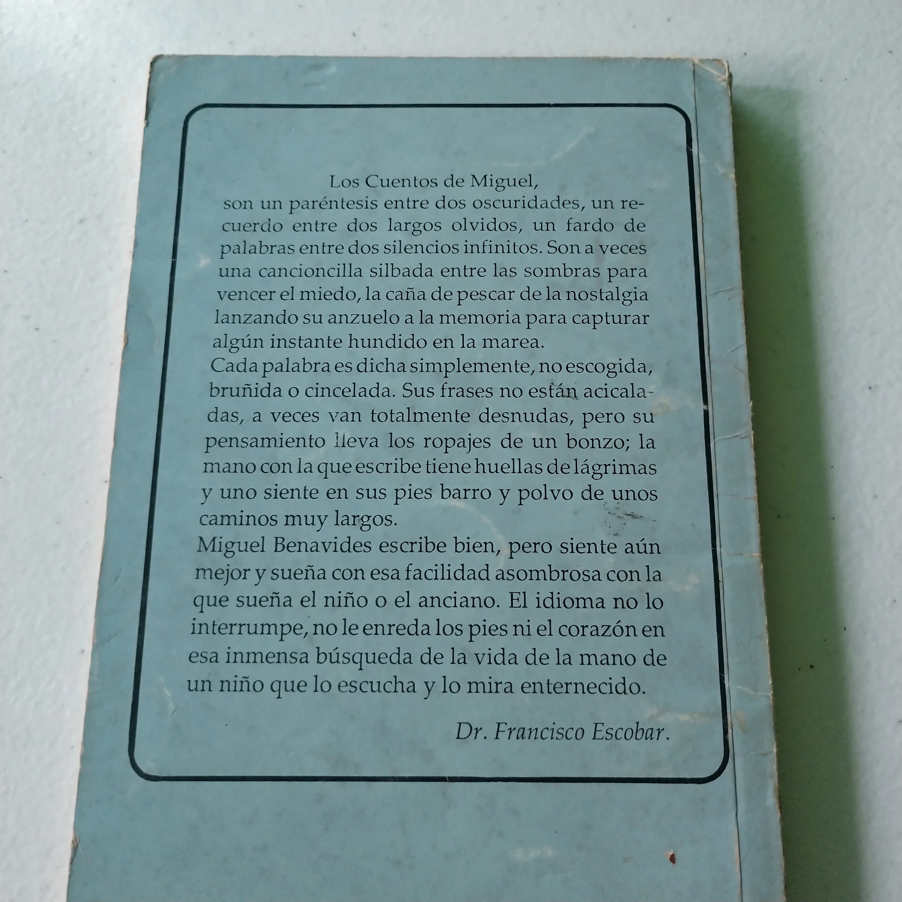 Los hijos de Mariplata Miguel Benavides, usado  2