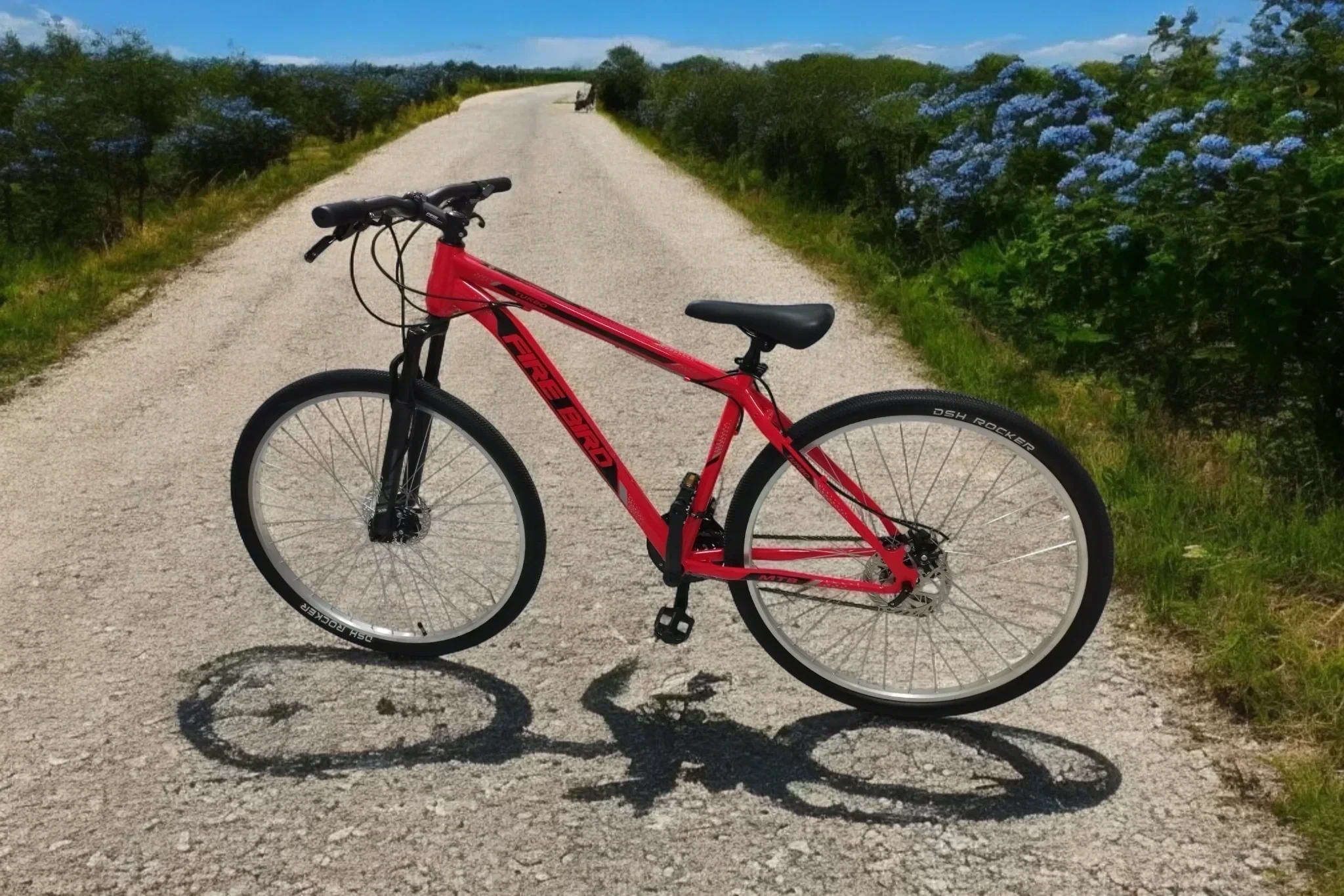 Bicicleta FIREBIRD Rod. 29 Rojo/Negro - Talle S ("16)