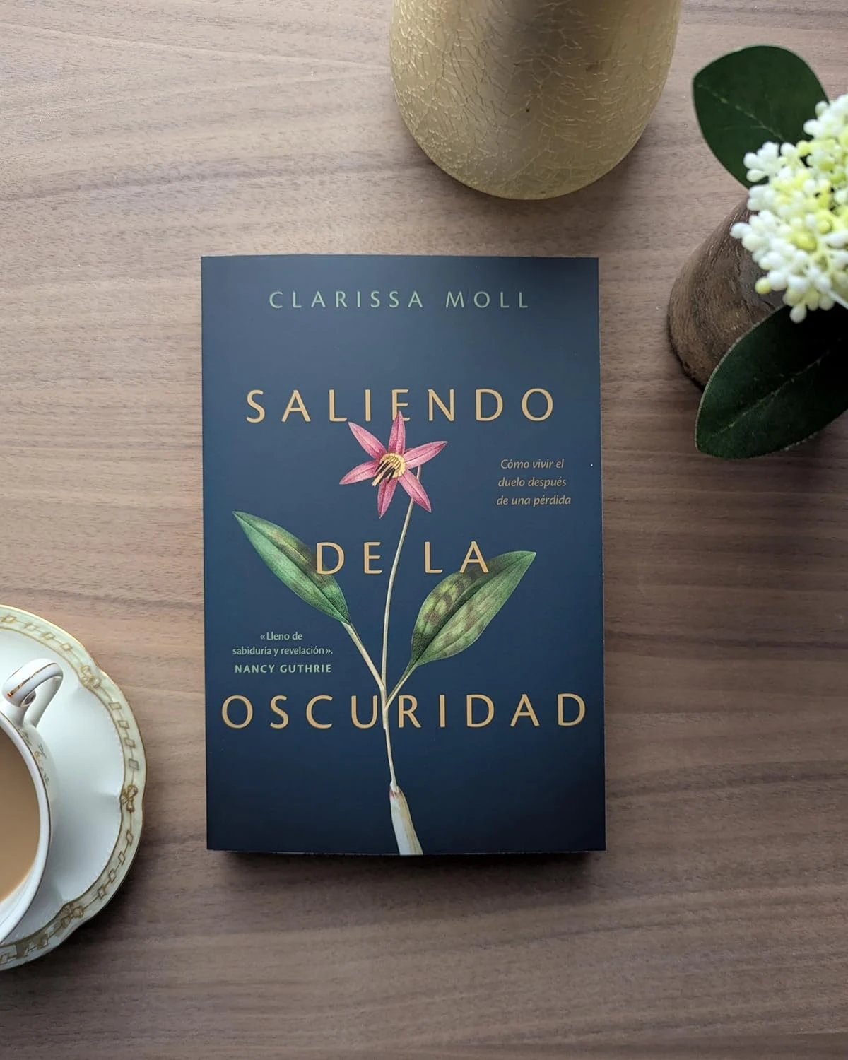 Saliendo de la oscuridad