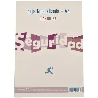 Block normalizado formato A4 cartulina 4