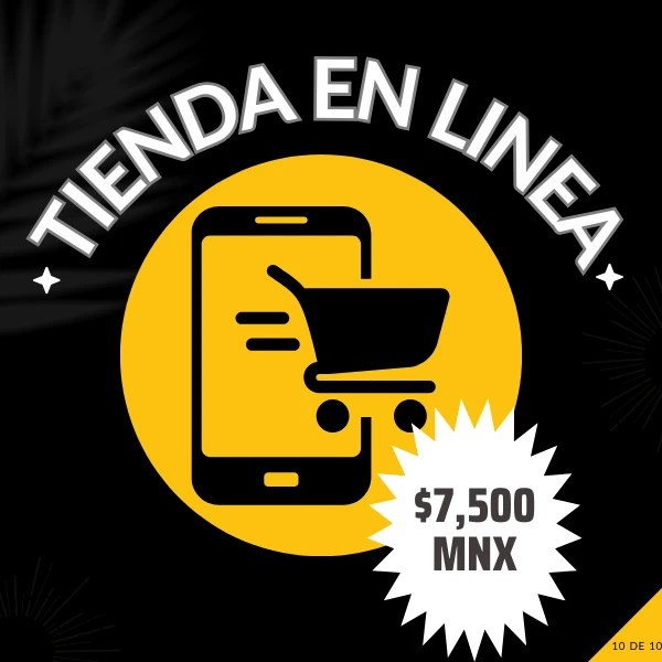 Plan VIP 10