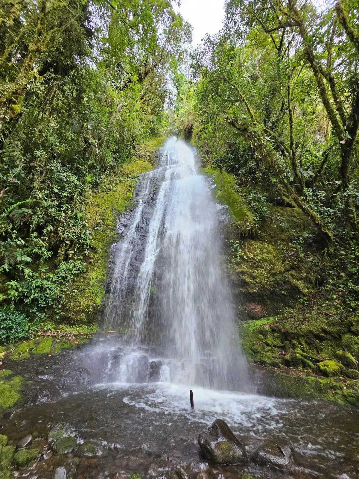 JARDÍN Y AVENTURA EN PASA DIA 5