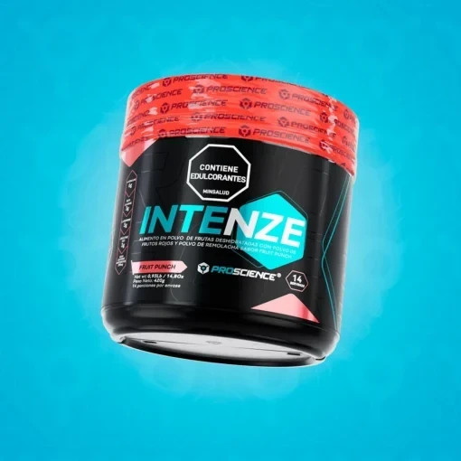 INTENZE 14 SERVICIOS