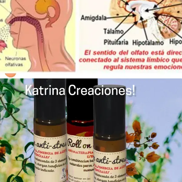 Aromaterapia,sales,roll on,aceites,brumas,etc