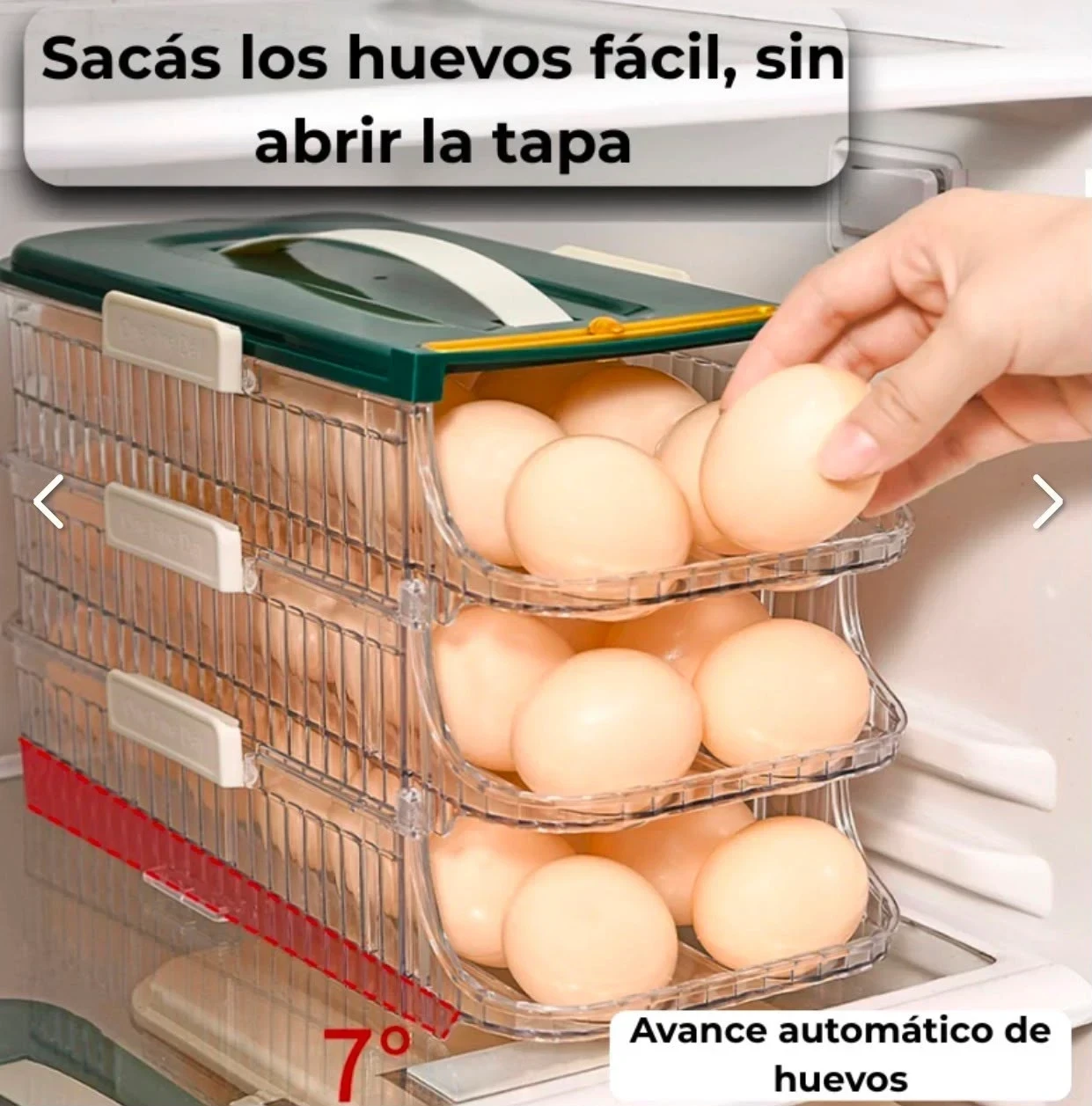 HUEVERA TRANSPARENTE APILABLE 2