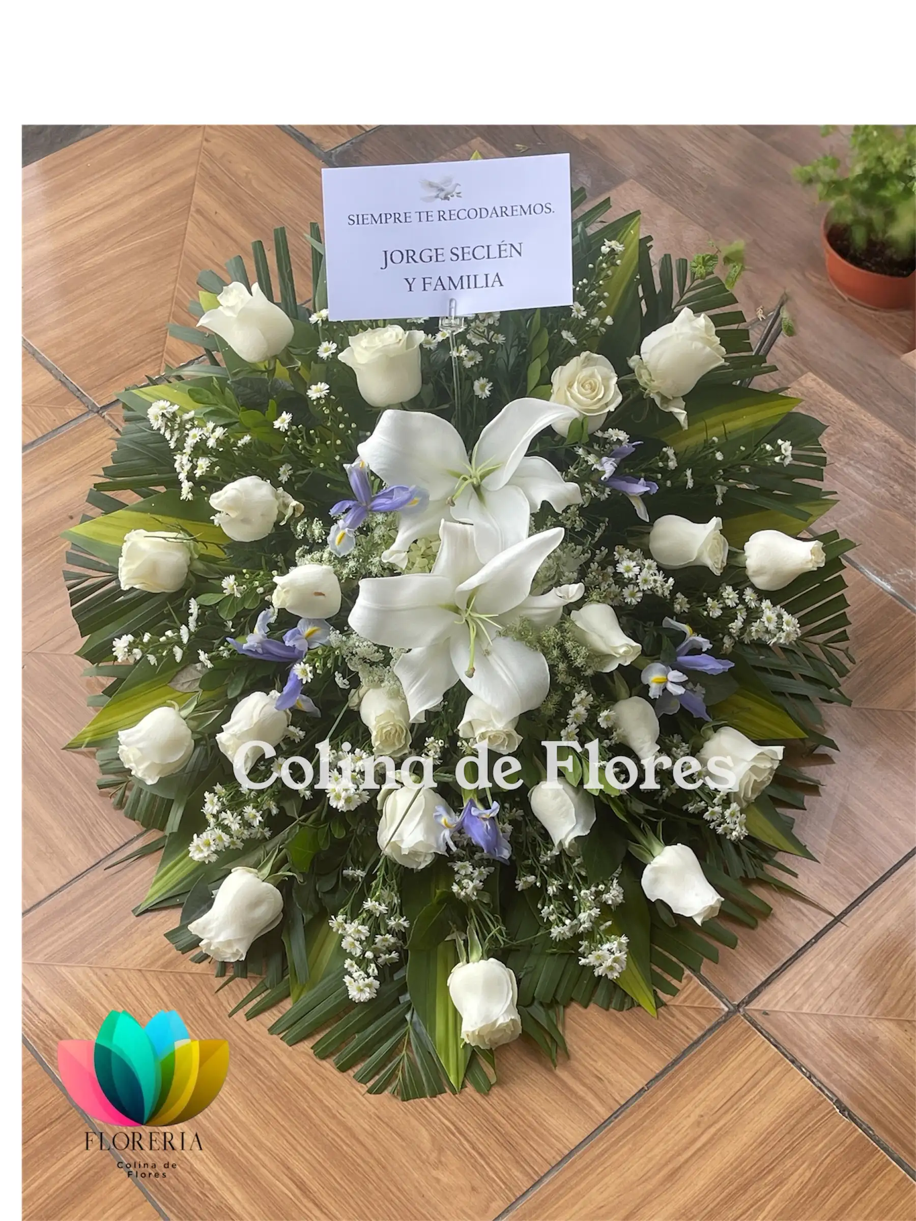 Lagrima blanca e iris