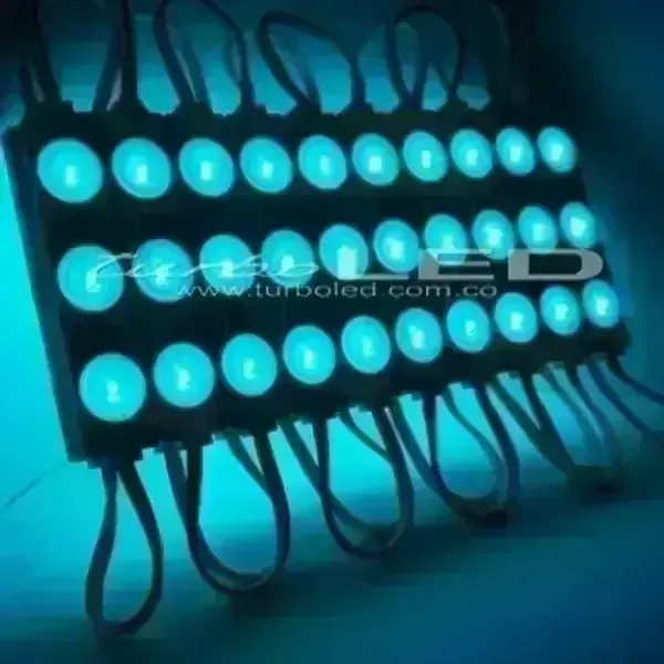 MODULO ECO LUPA 24V (103106)