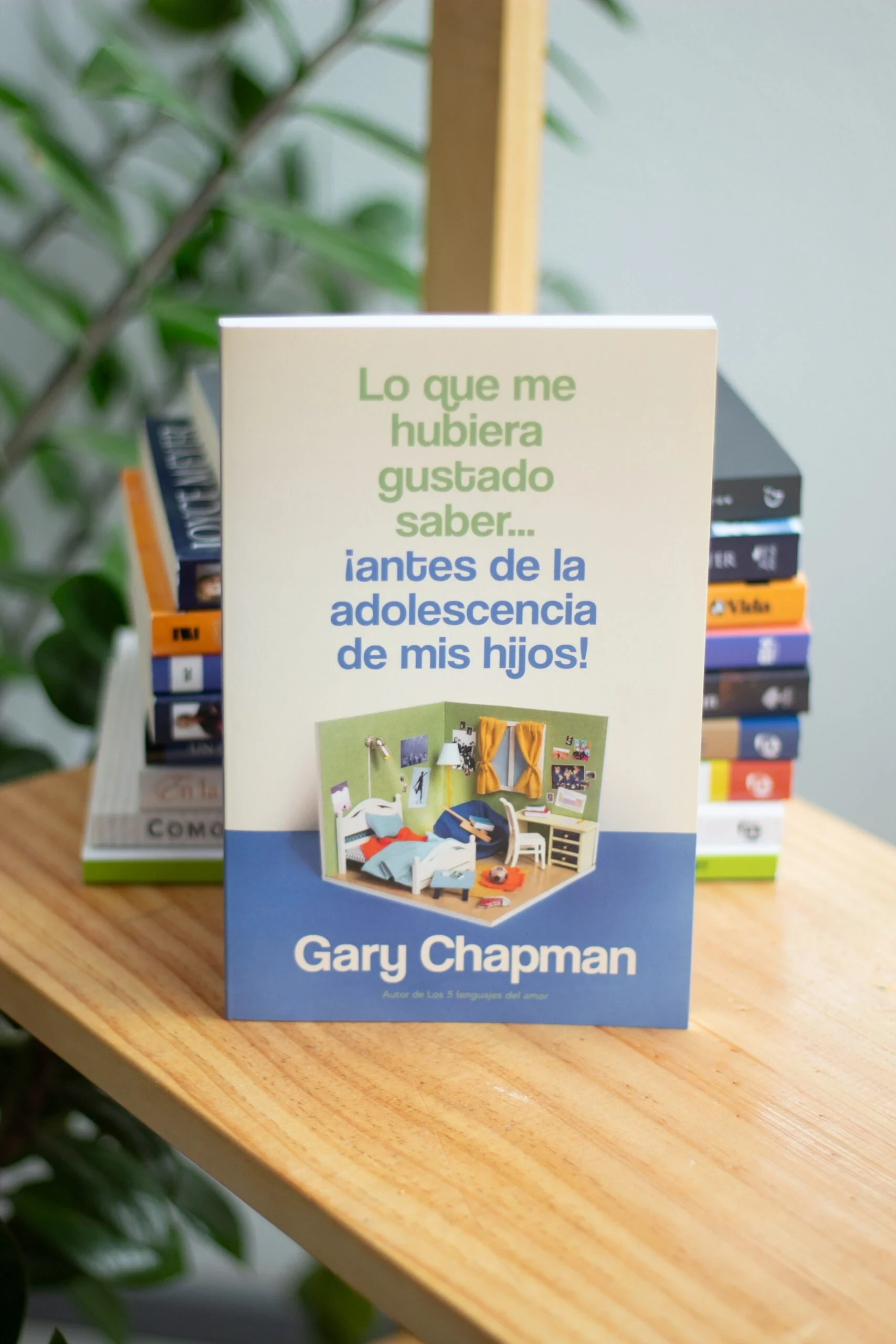Lo que me hubiera gustado saber antes de la adolescencia 2
