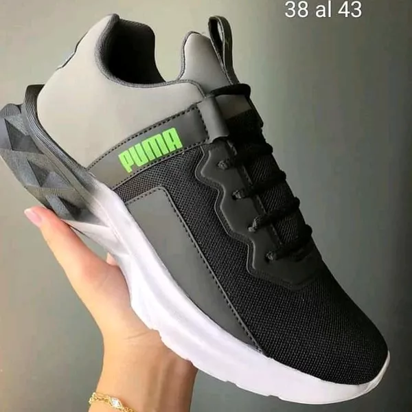 Puma 2