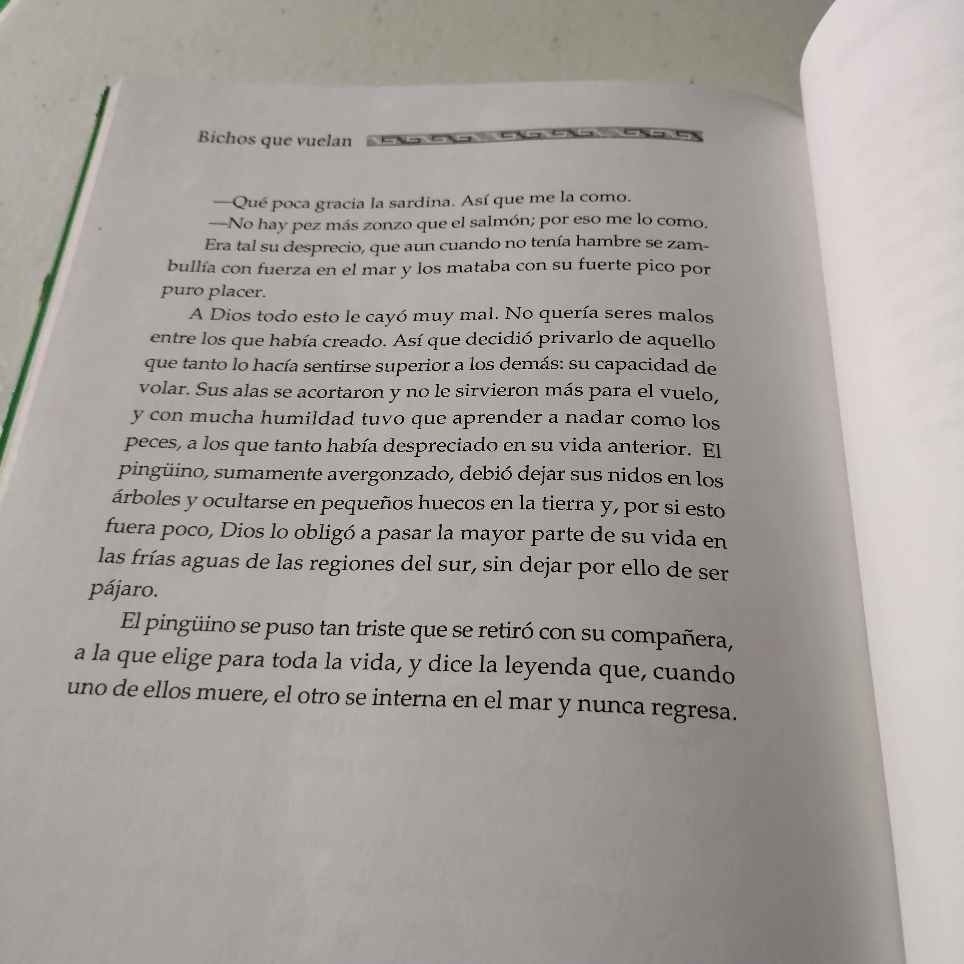 Bichos que vuelan, Patricia Suárez, usado  3
