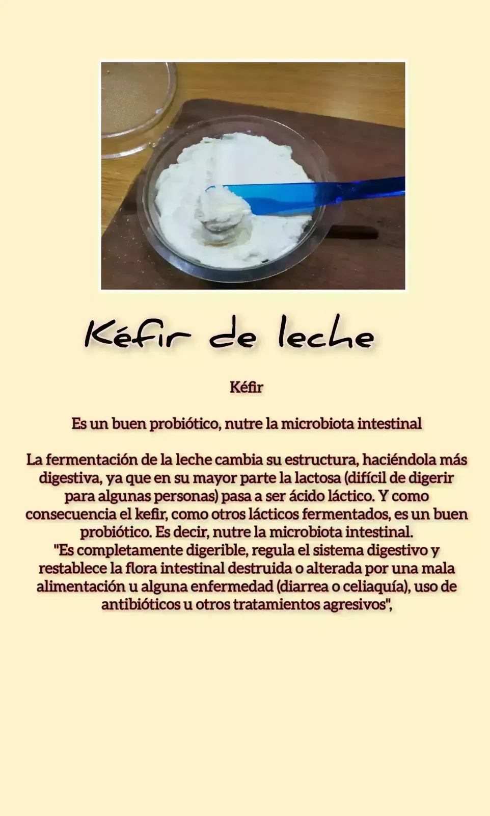 Queso 🧀 untable de kéfir de leche 🥛x 200g 3