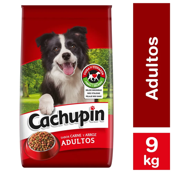 Alimentos de perro