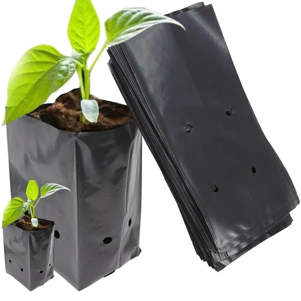 Bolsas de Cultivo