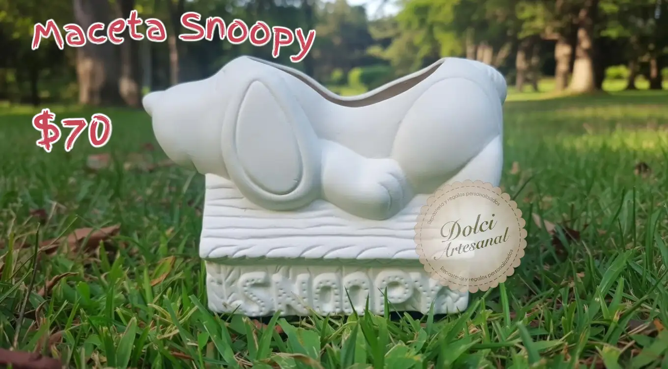 Maceta Casa Snoopy