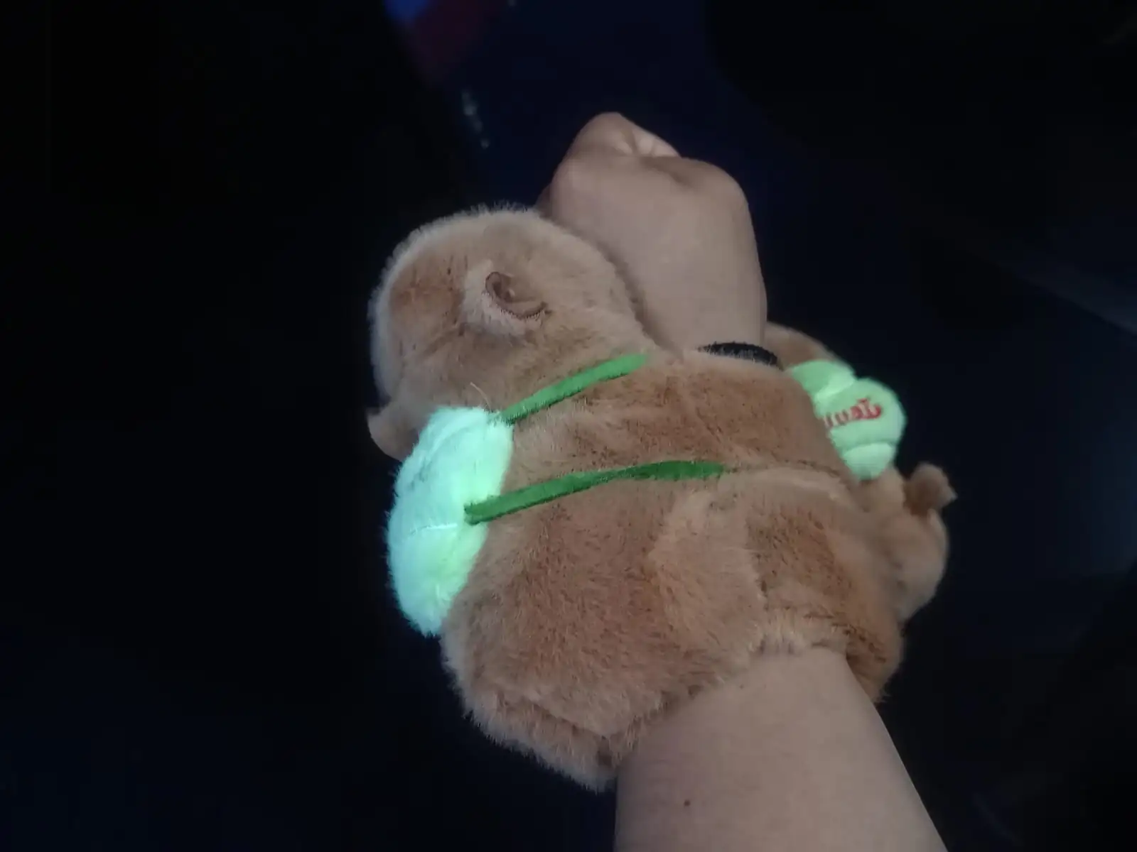 Brazalete de capibara con mochila 3