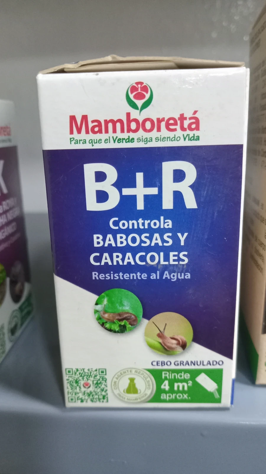 Mamboreta B + R 2