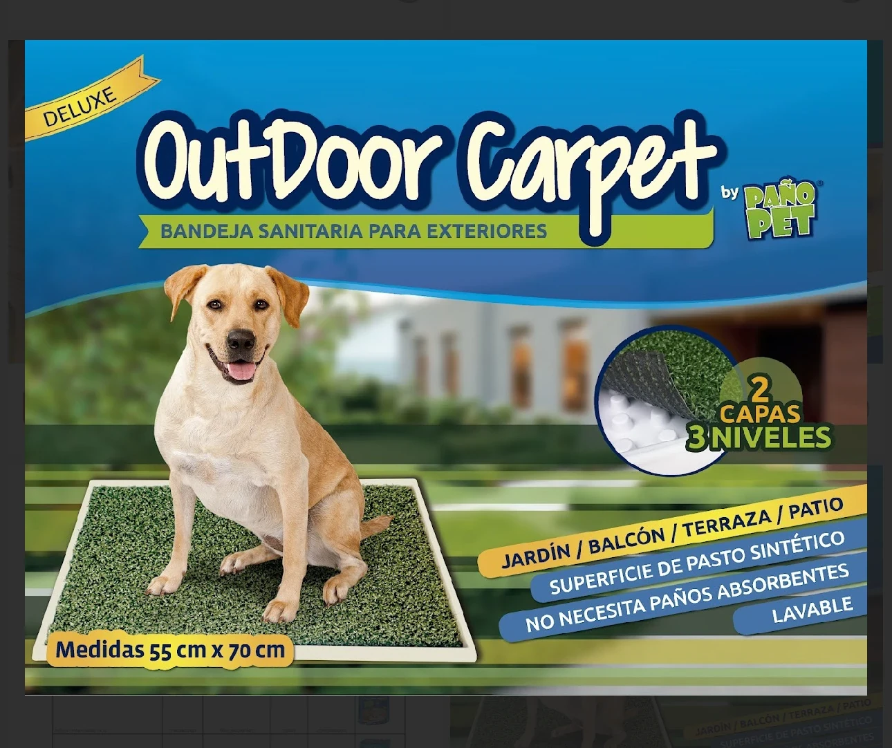 Outdoor Carpet 