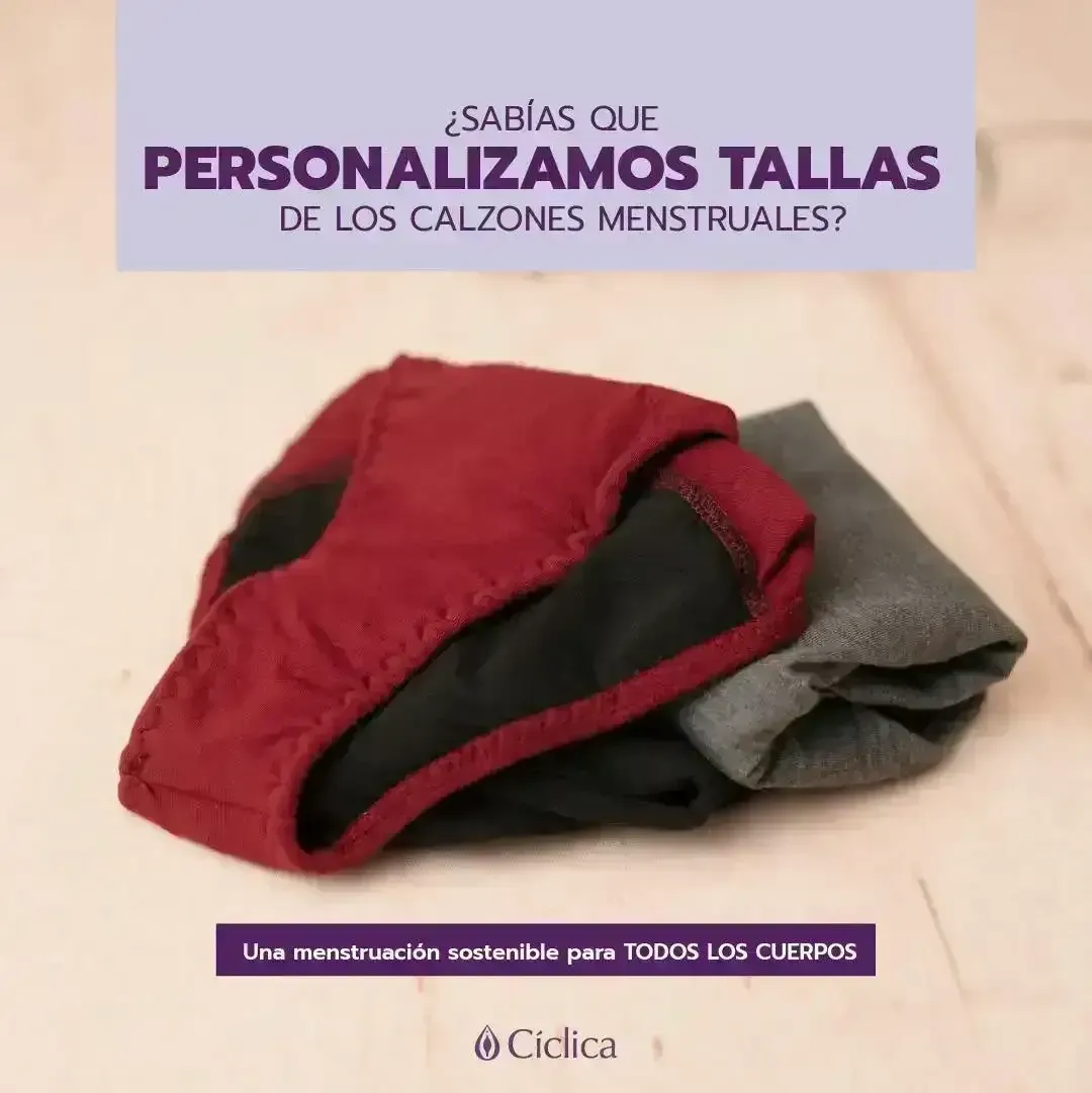 Panty menstrual  3