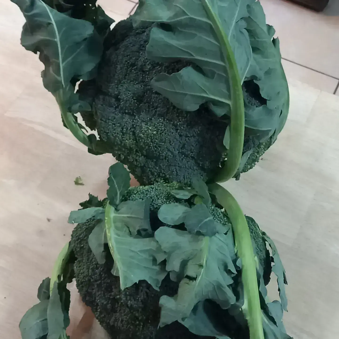 Brocoli