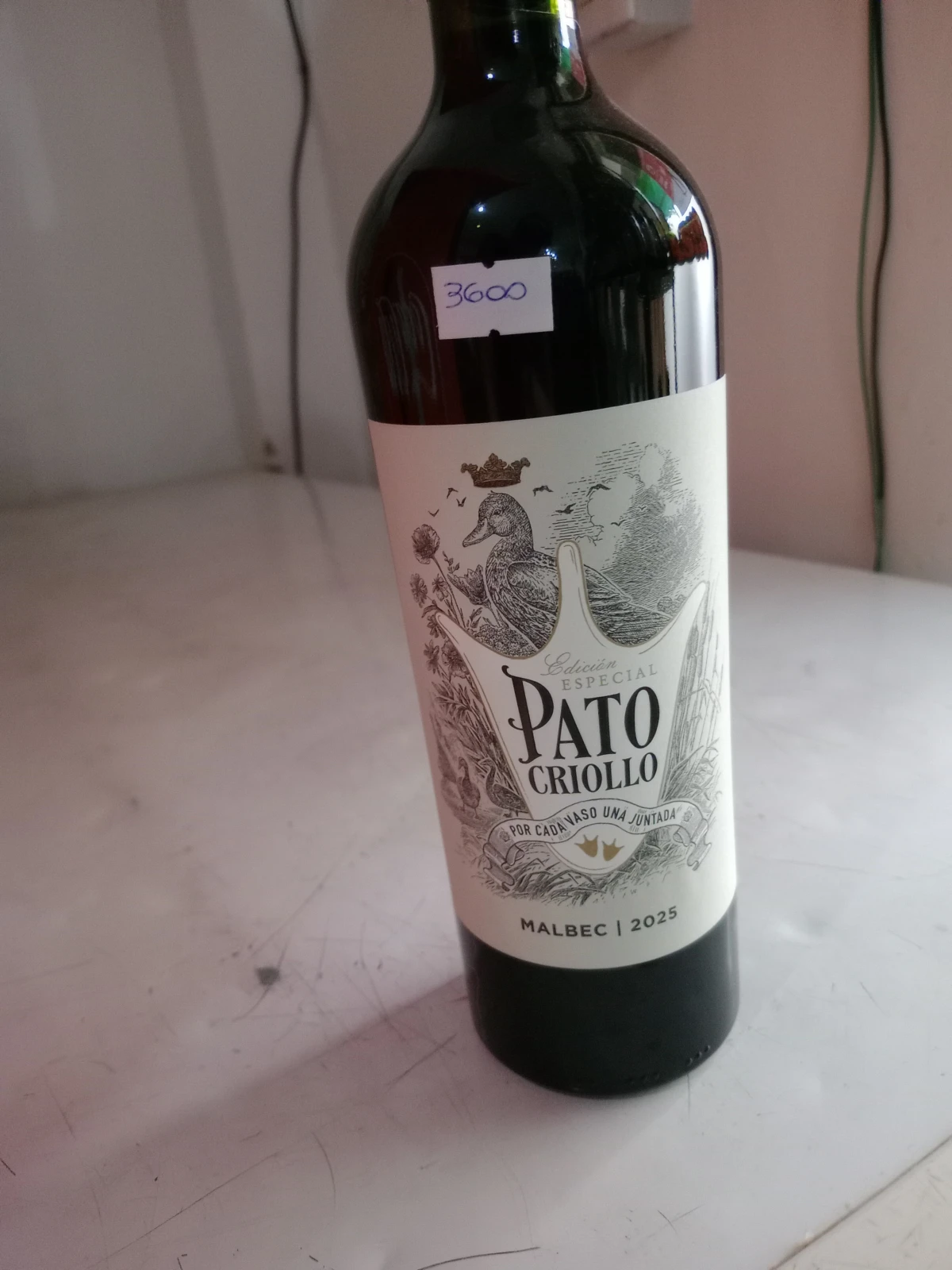 Pato criollo 