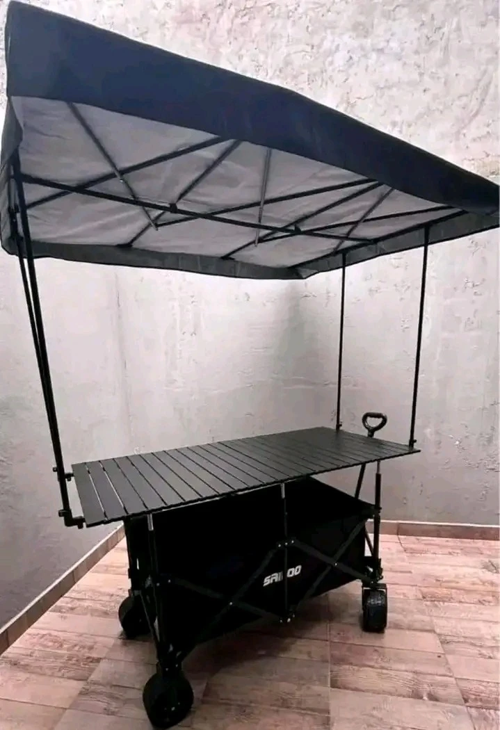 CARRITO EMPRENDEDOR  3