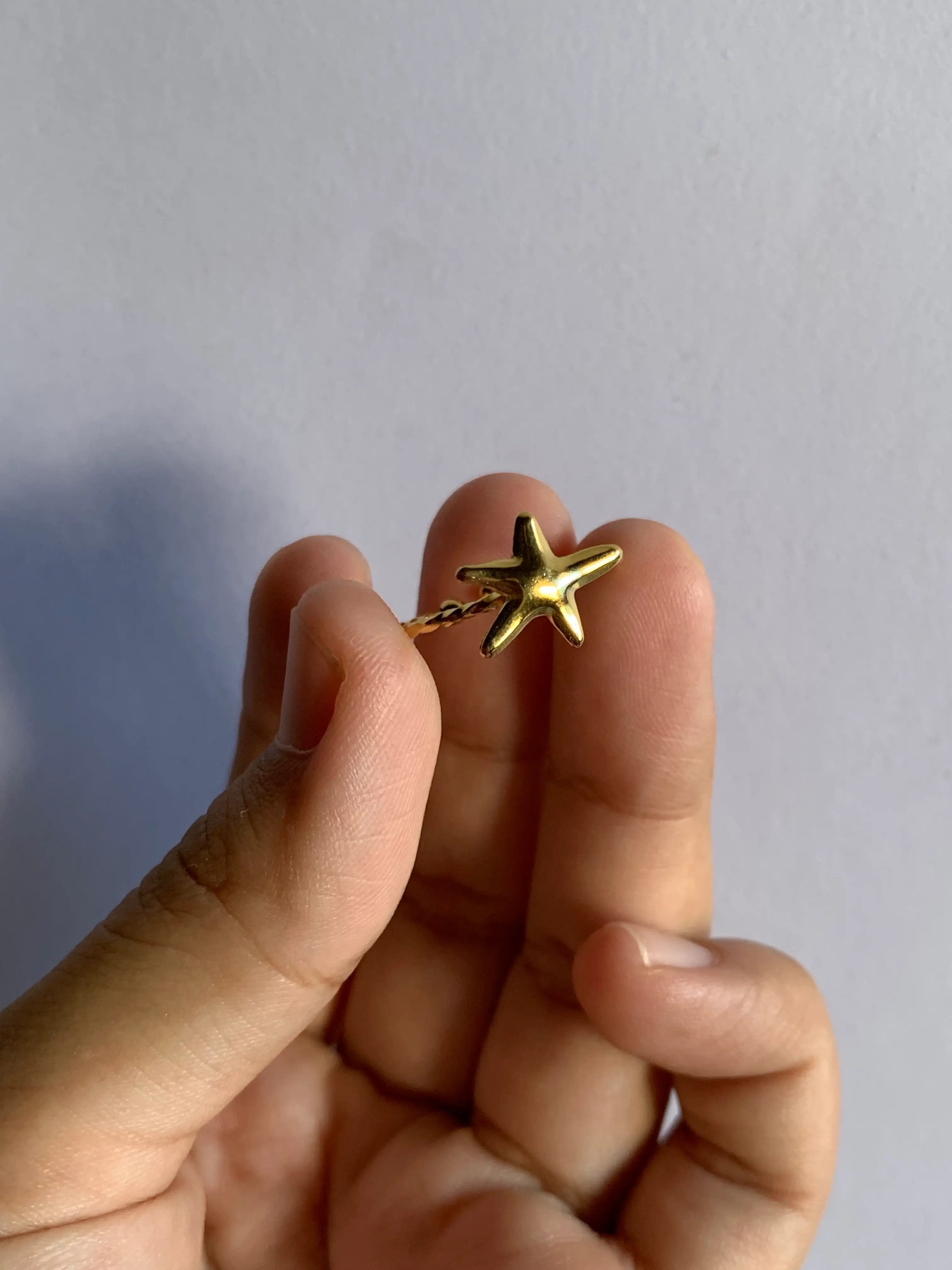 Anillo mar