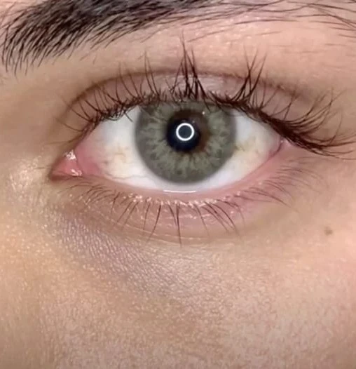 Lentes de contacto - Referencia: DNA TAYLOR / GREEN GRAY  4