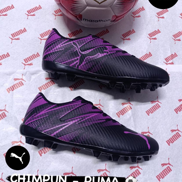 chimpunes puma