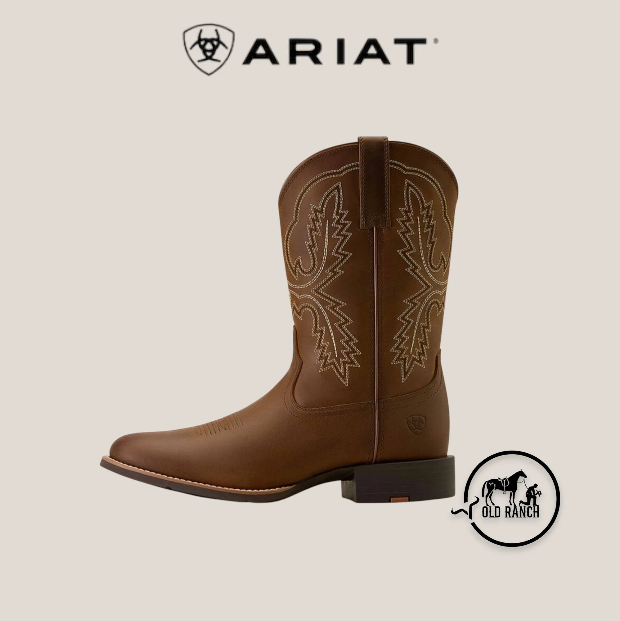 ARIAT 3