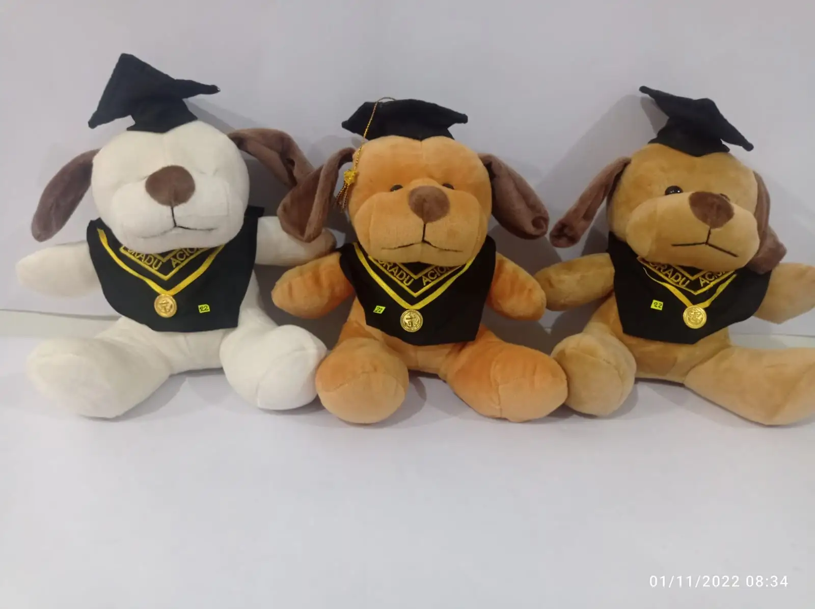Perro graduado Mini