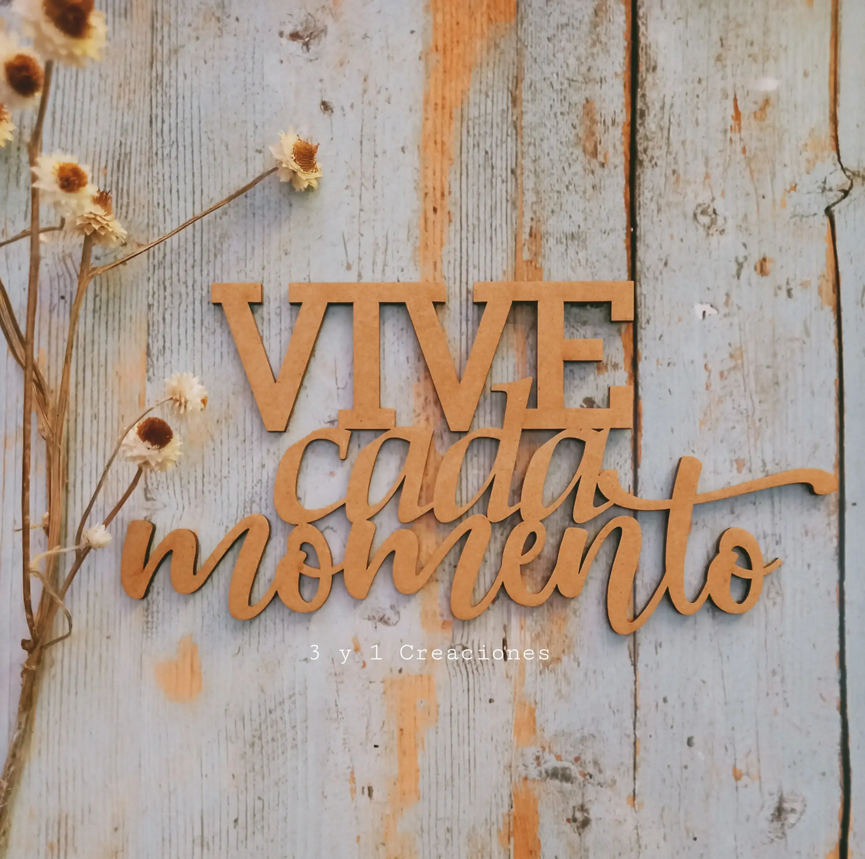 VIVE CADA MOMENTO