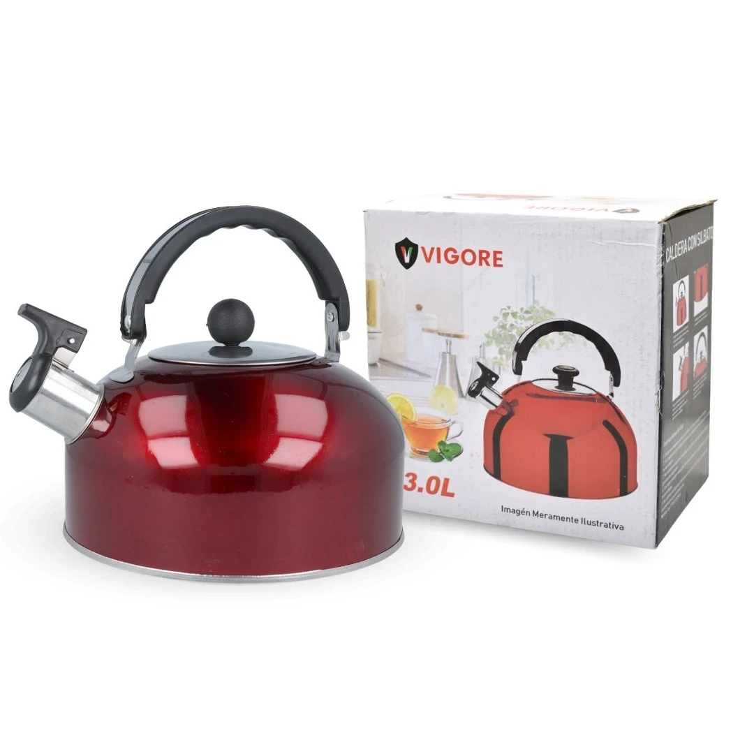 Caldera de Acero Inoxidable 3L 4