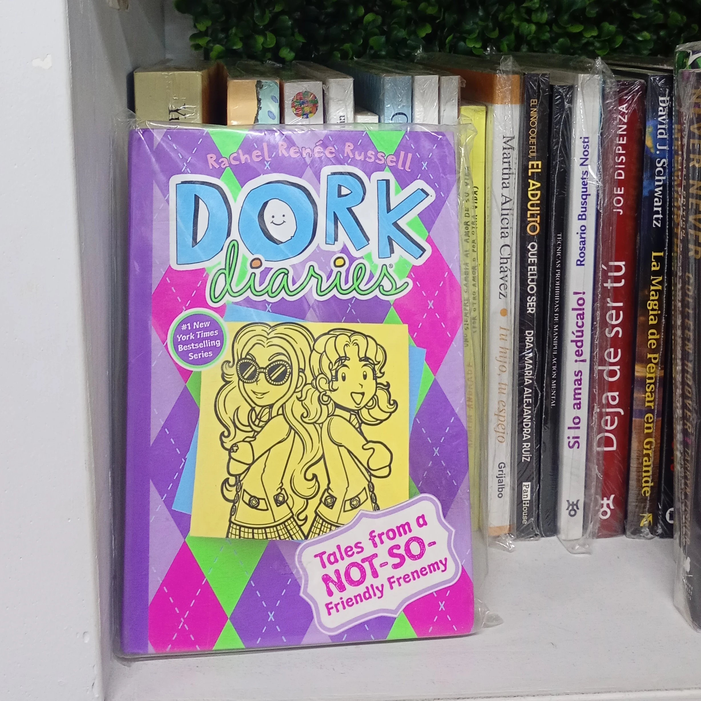 Dork diaries
