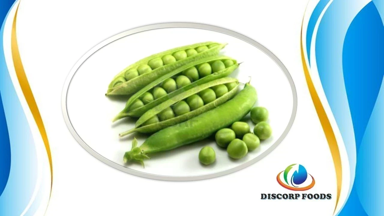 ARVERJITA VERDE ENTERA