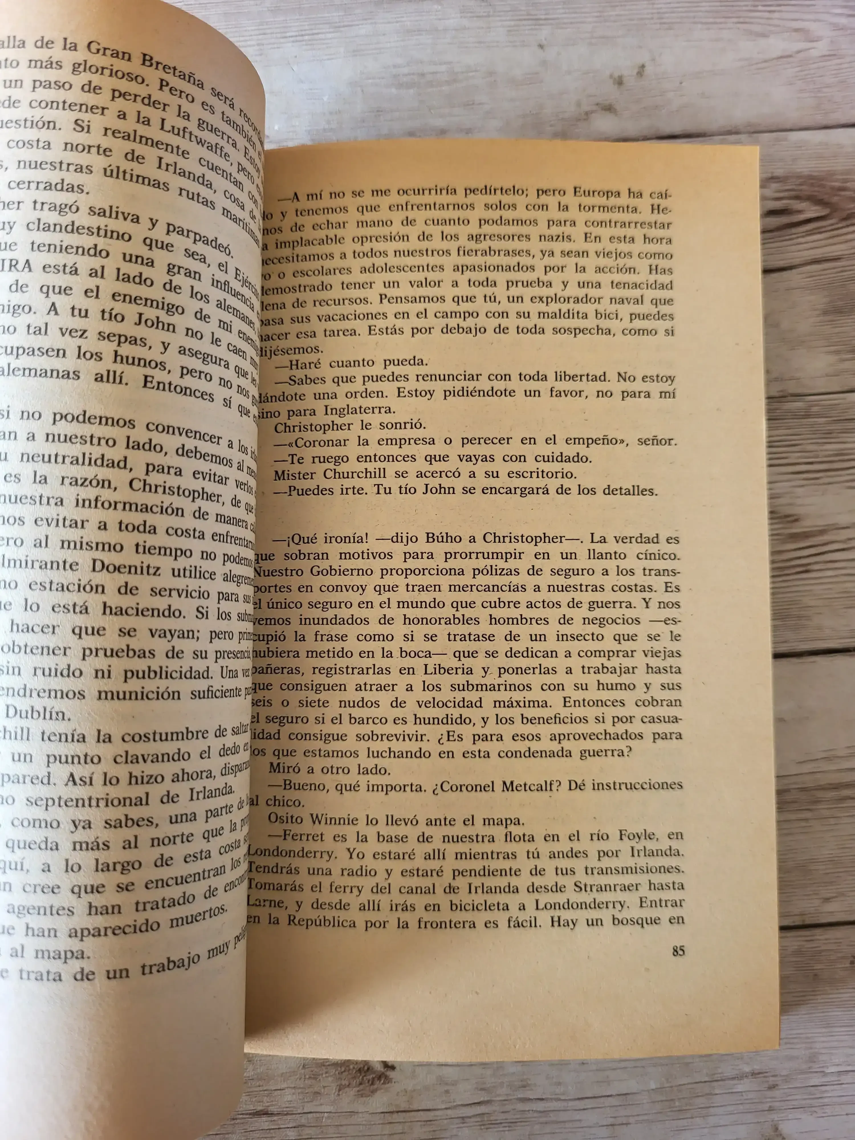 El Paladin / Brian Garfield / Novela / Guerra / Espionaje / Suspenso historico 3